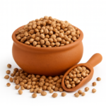 BULGARIANCORIANDER SEEDS | BIJI KETUMBAR | 南把枳