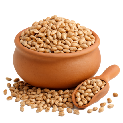 UKRAINE WHEAT GRAIN | GANDUM | 麦粒