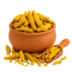 INDIAN SALEM (MEDIUM) TURMERIC FINGER | KUNYIT | 黄姜