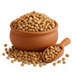 INDIAN CORIANDER SEEDS XO | BIJI KETUMBAR | 南把枳